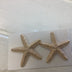 Earrings big star