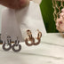 Earrings circle hoops