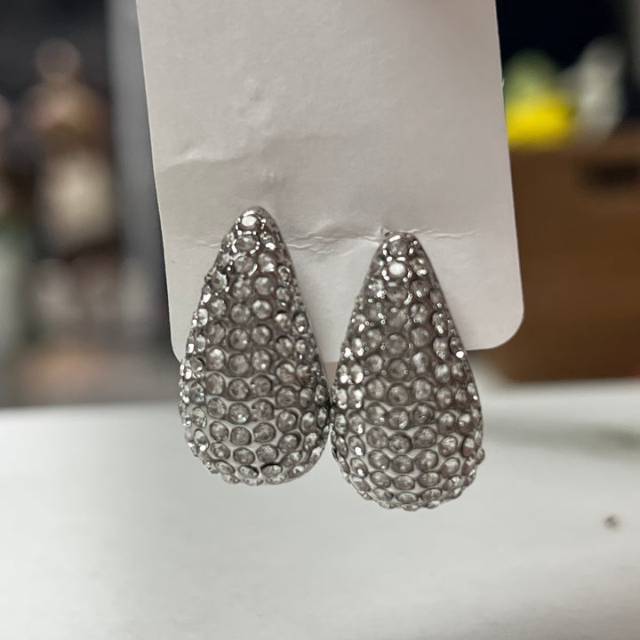 Earrings bottega s sparkly