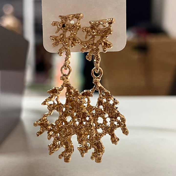 Earrings roots