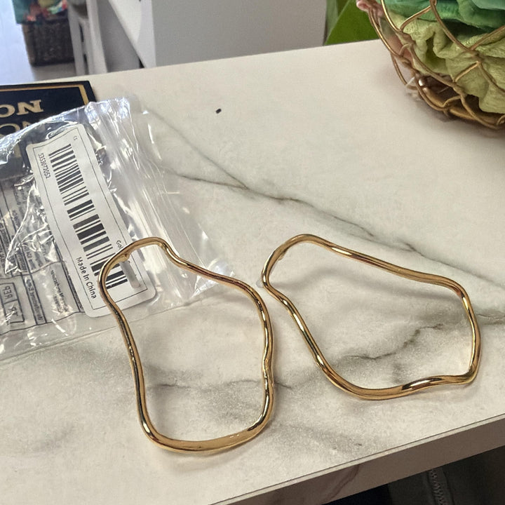 Earrings twisted hoops